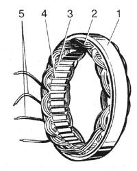 Статор генератора