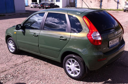 цвет аллигатор калина